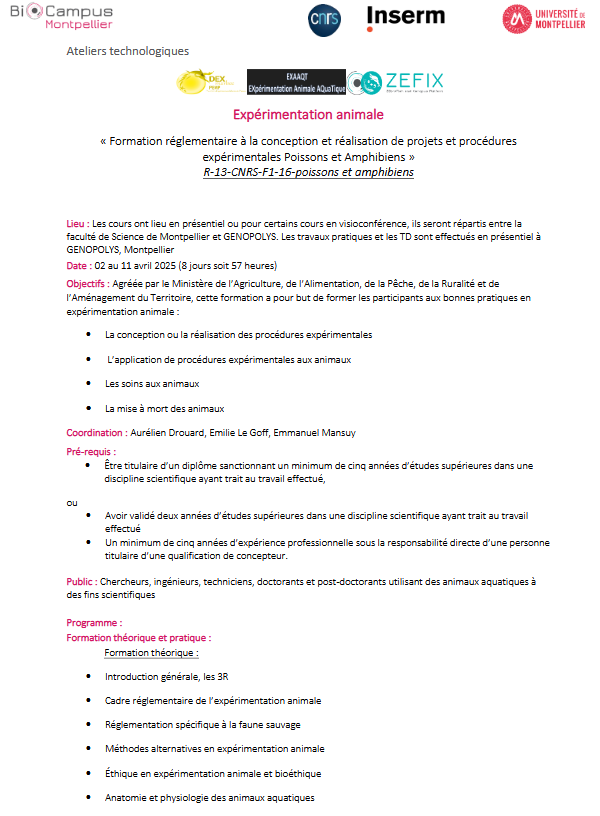 annonce page1