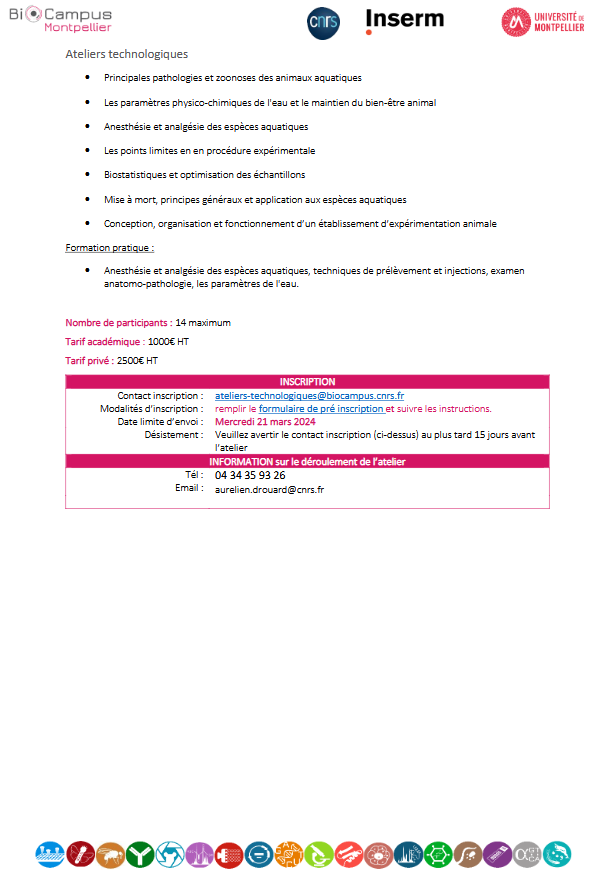 annonce page2