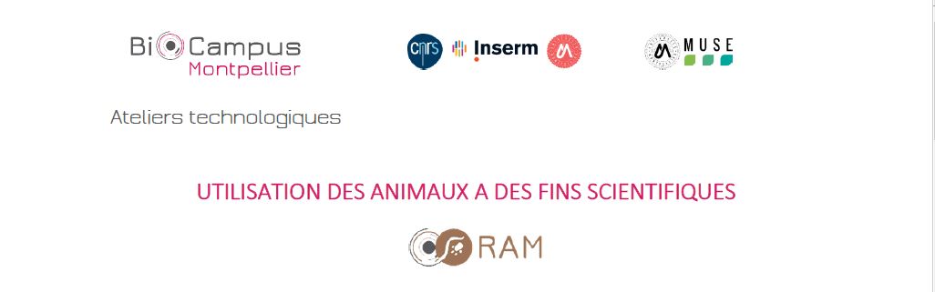 titre_ram_2023