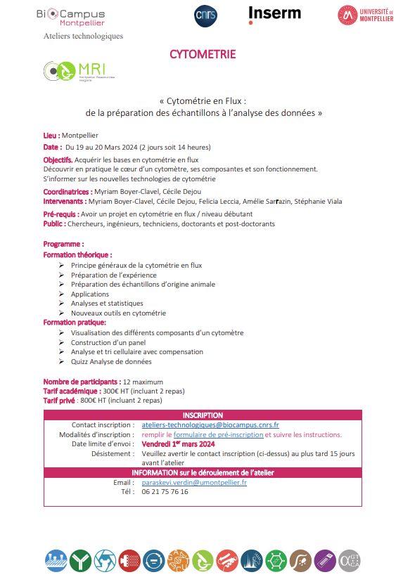 FICHE AT062024