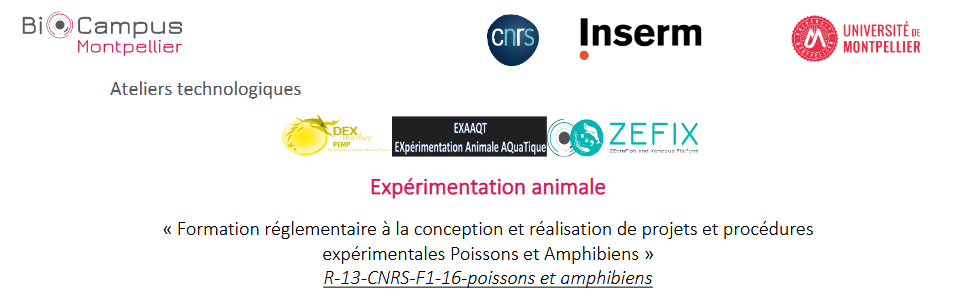 titre